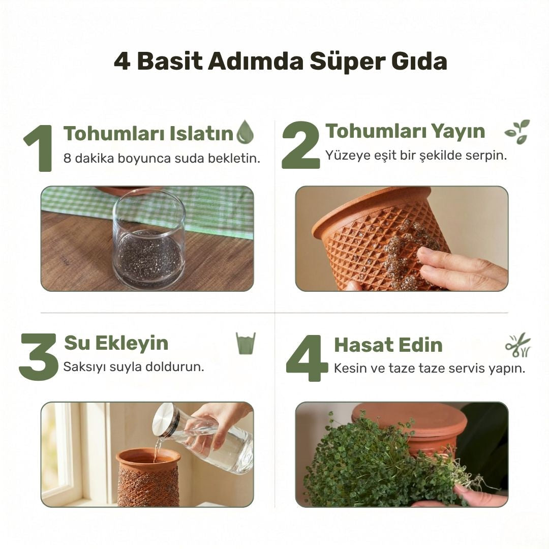 Toprak saksıda mikro yeşillik yetiştirmek için 4 adımlı fotoğraflı rehber. 1. Adımda tohumların suda bekletilmesi, 2. Adımda tohumların saksı dış yüzeyine yayılması, 3. Adımda saksının içinin suyla doldurulması ve 4. Adımda büyüyen taze yeşilliklerin makasla hasat edilmesi gösteriliyor.