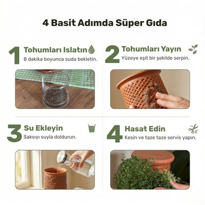 Toprak saksıda mikro yeşillik yetiştirmek için 4 adımlı fotoğraflı rehber. 1. Adımda tohumların suda bekletilmesi, 2. Adımda tohumların saksı dış yüzeyine yayılması, 3. Adımda saksının içinin suyla doldurulması ve 4. Adımda büyüyen taze yeşilliklerin makasla hasat edilmesi gösteriliyor.