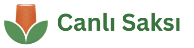 Canlı Saksı