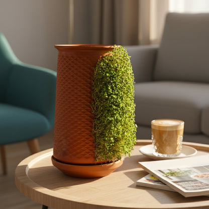 Canlı Saksı Chia Tohumu Nasıl Yetiştirilir?