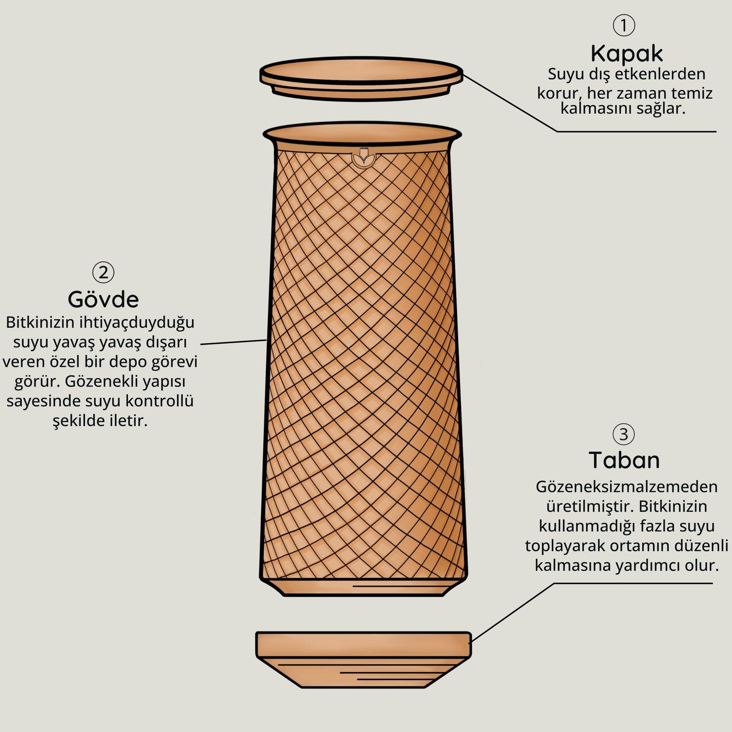 Canlı Saksı Kutu Neler İçilir?