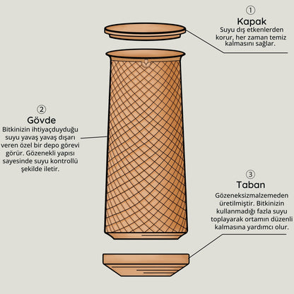 Canlı Saksı Kutu Neler İçilir?