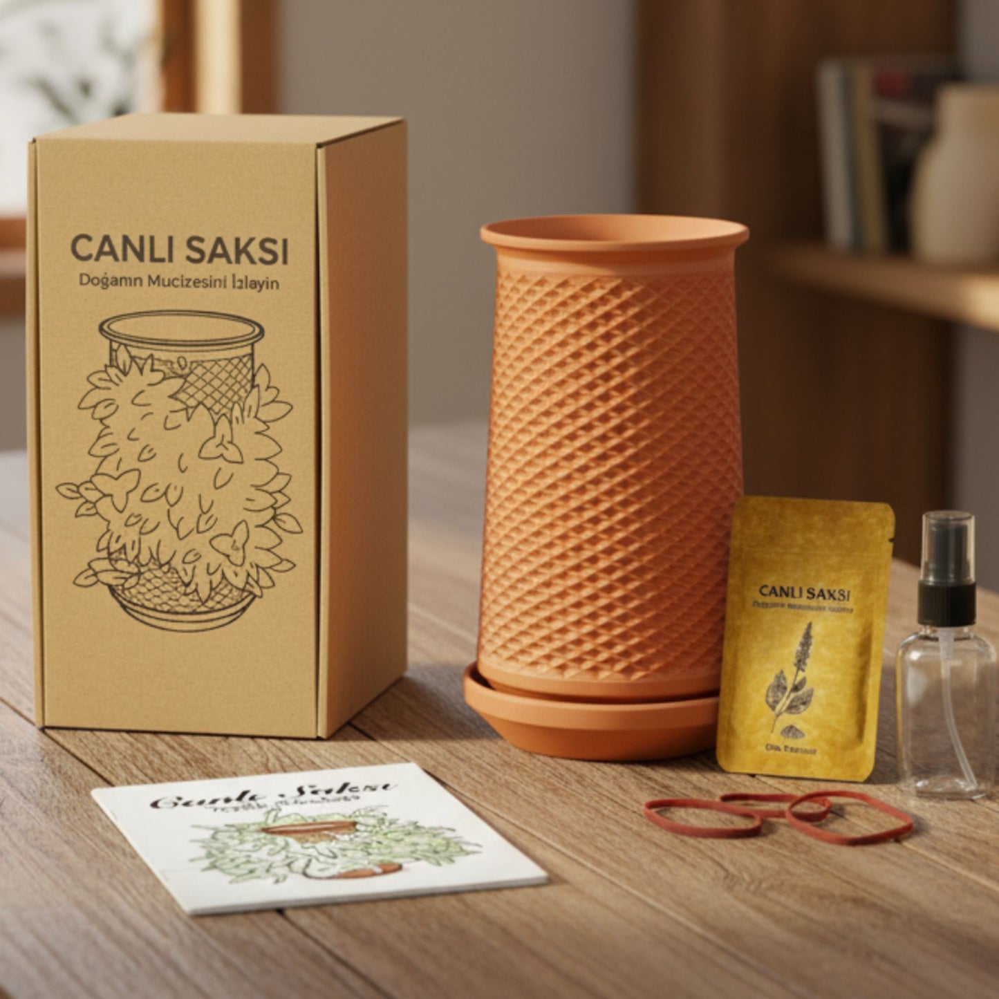 Canlı Saksı Kutu Neler İçilir?