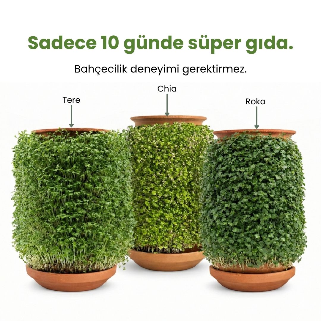 Yan yana duran üç adet desenli toprak saksının yüzeyinde gür bir şekilde büyümüş tere, chia ve roka mikro filizleri. Üst kısımda "Sadece 10 günde süper gıda. Bahçecilik deneyimi gerektirmez." yazısı yer alıyor.