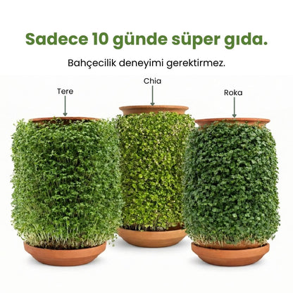 Yan yana duran üç adet desenli toprak saksının yüzeyinde gür bir şekilde büyümüş tere, chia ve roka mikro filizleri. Üst kısımda "Sadece 10 günde süper gıda. Bahçecilik deneyimi gerektirmez." yazısı yer alıyor.