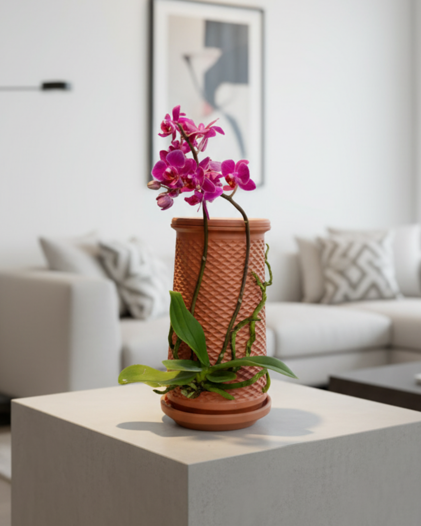 Topraksız Hidroponik El Yapımı Saksı | Topraksız Bitki Yetiştirme Dekoratif Masaüstü Tasarım